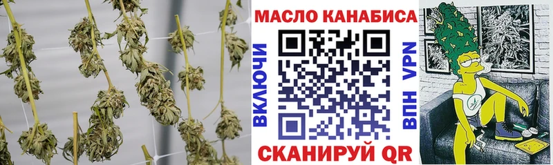 Дистиллят ТГК THC oil  где купить наркотик  МЕГА маркетплейс  Малая Вишера 